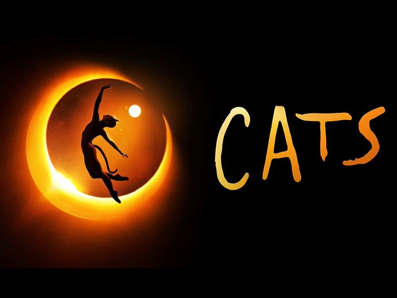 cats uk your